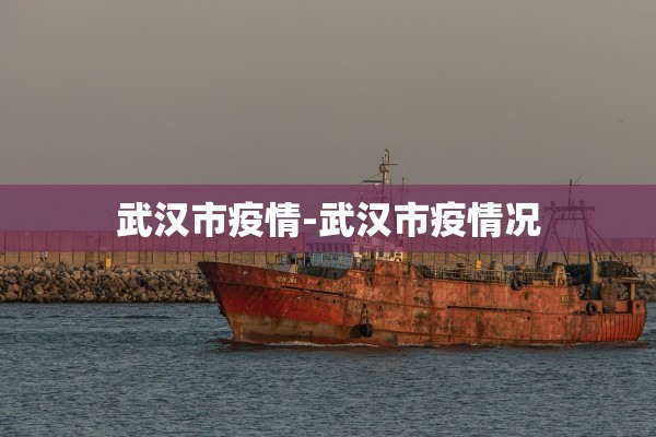 武汉市疫情-武汉市疫情况 武汉市疫情-武汉市疫情况