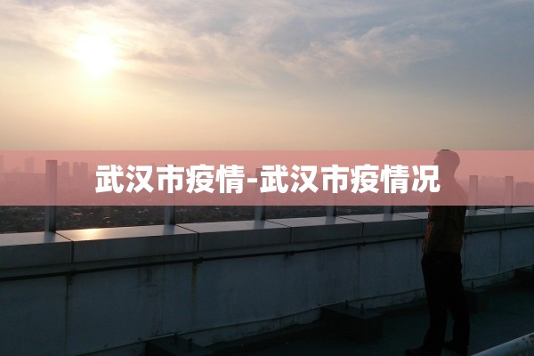 武汉市疫情-武汉市疫情况 武汉市疫情-武汉市疫情况