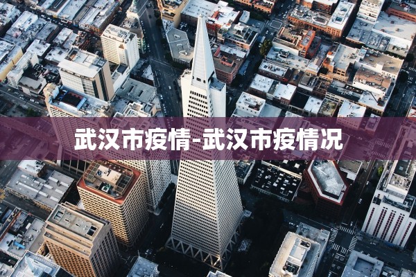 武汉市疫情-武汉市疫情况 武汉市疫情-武汉市疫情况