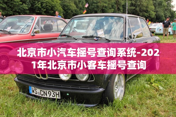 北京市小汽车摇号查询系统-2021年北京市小客车摇号查询