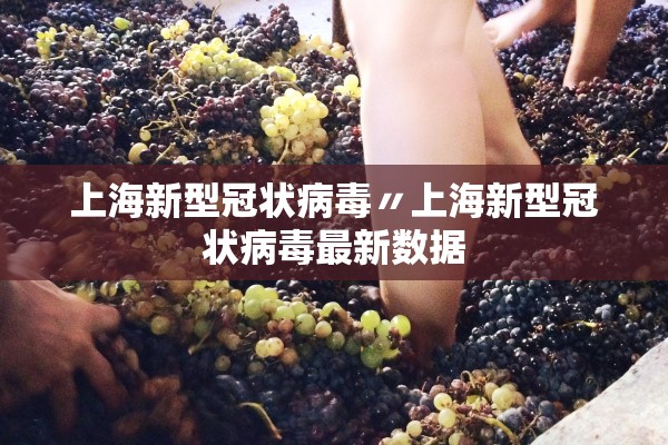 上海新型冠状病毒〃上海新型冠状病毒最新数据