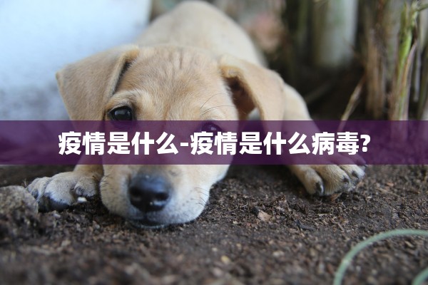 疫情是什么-疫情是什么病毒?