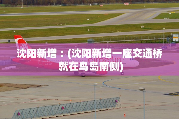 沈阳新增︰(沈阳新增一座交通桥 就在鸟岛南侧)