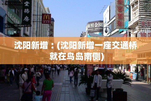 沈阳新增︰(沈阳新增一座交通桥 就在鸟岛南侧)