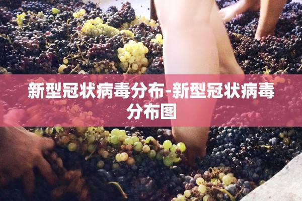 新型冠状病毒分布-新型冠状病毒分布图