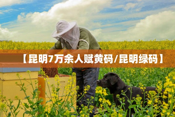 【昆明7万余人赋黄码/昆明绿码】