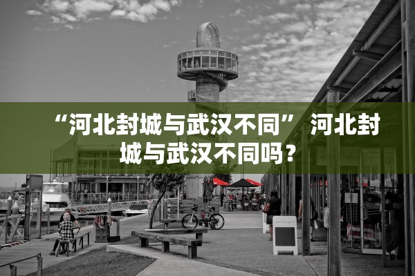 “河北封城与武汉不同” 河北封城与武汉不同吗？