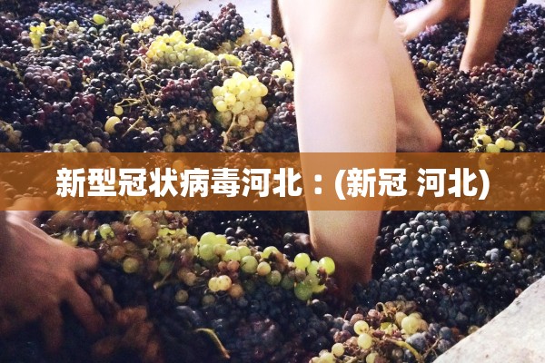 新型冠状病毒河北︰(新冠 河北) 新型冠状病毒河北︰(新冠 河北)