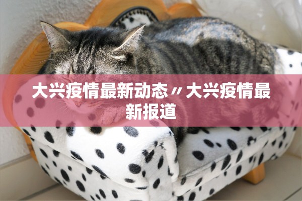 大兴疫情最新动态〃大兴疫情最新报道