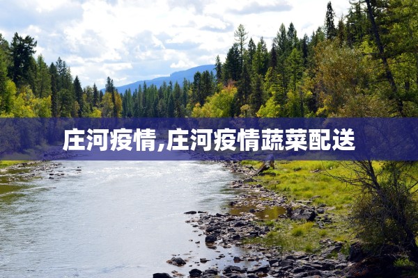 庄河疫情,庄河疫情蔬菜配送 庄河疫情,庄河疫情蔬菜配送