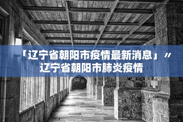 「辽宁省朝阳市疫情最新消息」〃辽宁省朝阳市肺炎疫情