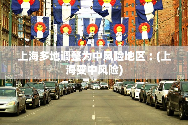 上海多地调整为中风险地区︰(上海变中风险) 上海多地调整为中风险地区︰(上海变中风险)