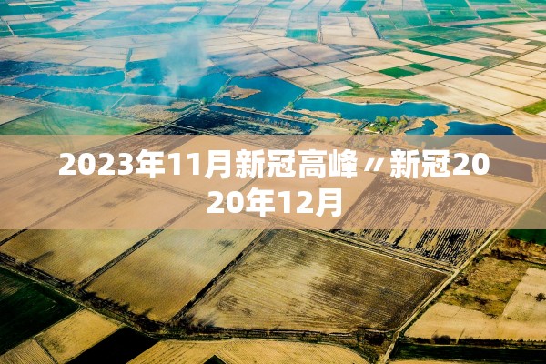 2023年11月新冠高峰〃新冠2020年12月