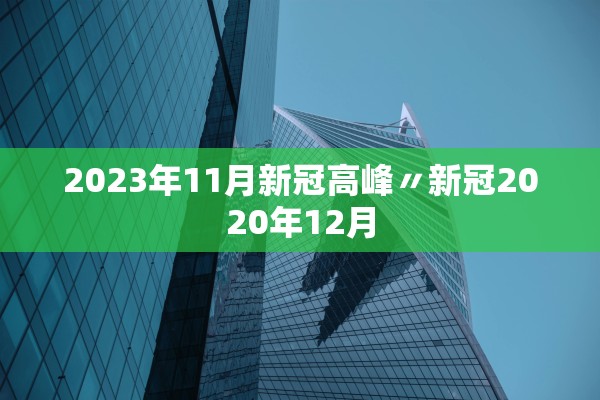2023年11月新冠高峰〃新冠2020年12月