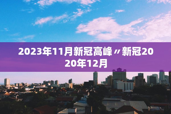 2023年11月新冠高峰〃新冠2020年12月