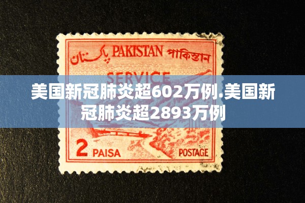 美国新冠肺炎超602万例.美国新冠肺炎超2893万例