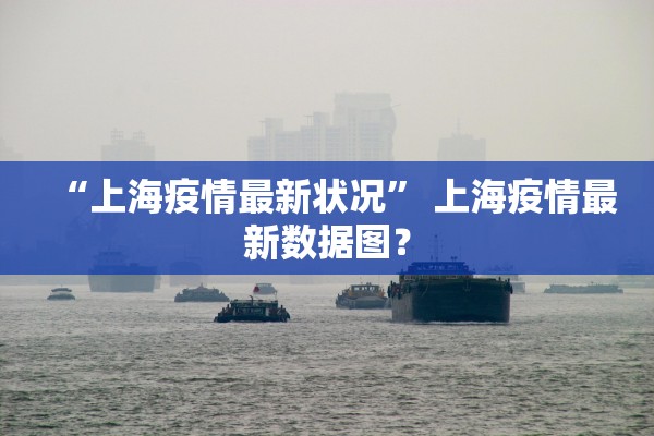 “上海疫情最新状况” 上海疫情最新数据图？