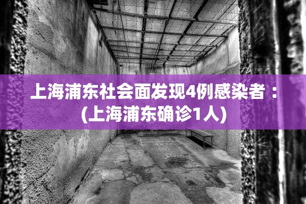 上海浦东社会面发现4例感染者︰(上海浦东确诊1人) 上海浦东社会面发现4例感染者︰(上海浦东确诊1人)