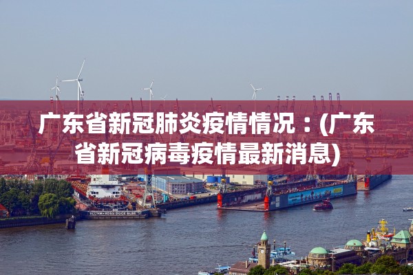 广东省新冠肺炎疫情情况︰(广东省新冠病毒疫情最新消息) 广东省新冠肺炎疫情情况︰(广东省新冠病毒疫情最新消息)