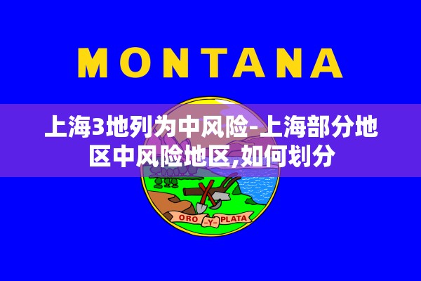 上海3地列为中风险-上海部分地区中风险地区,如何划分