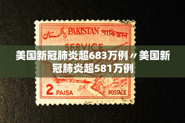 美国新冠肺炎超683万例〃美国新冠肺炎超581万例